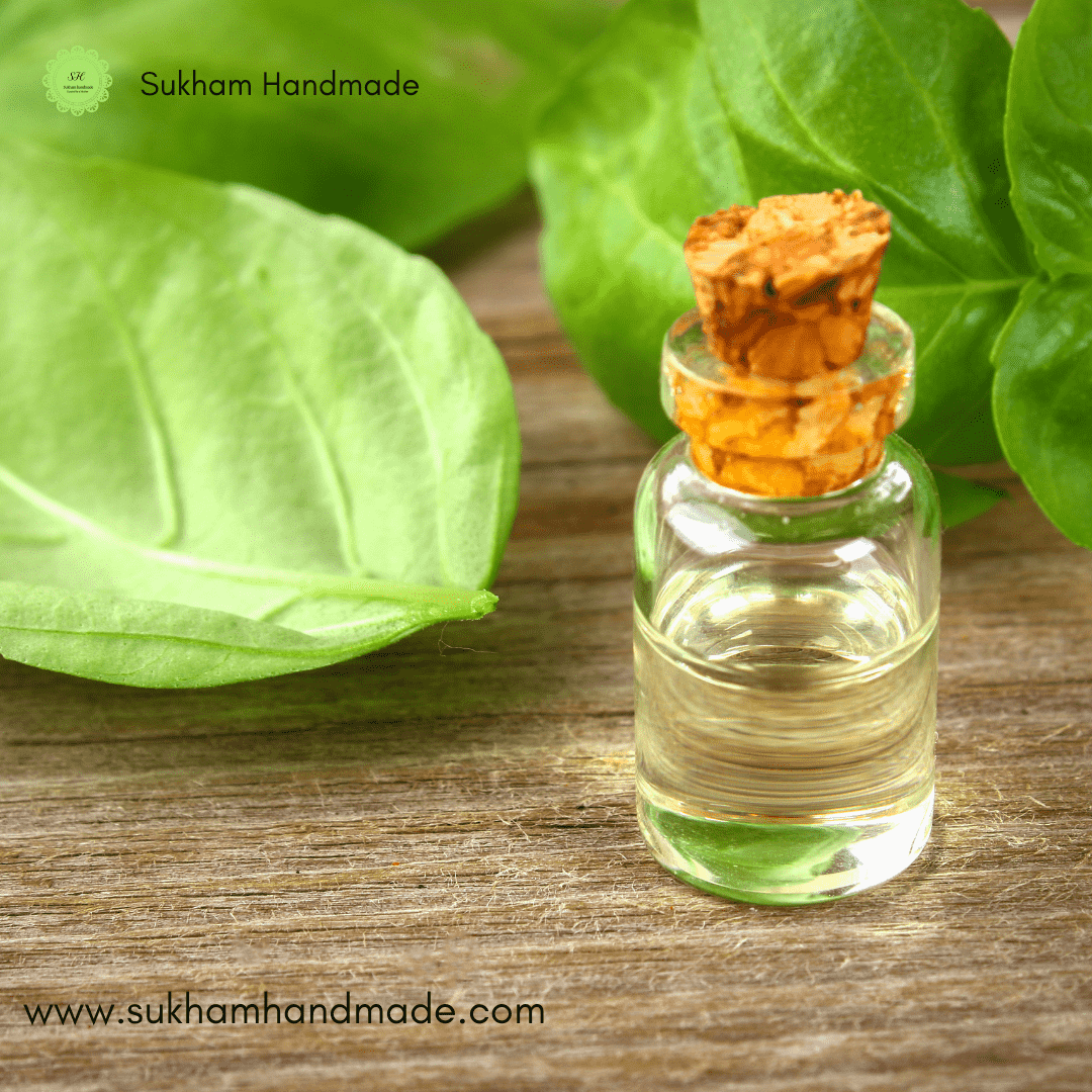 Basil sweet essential oil