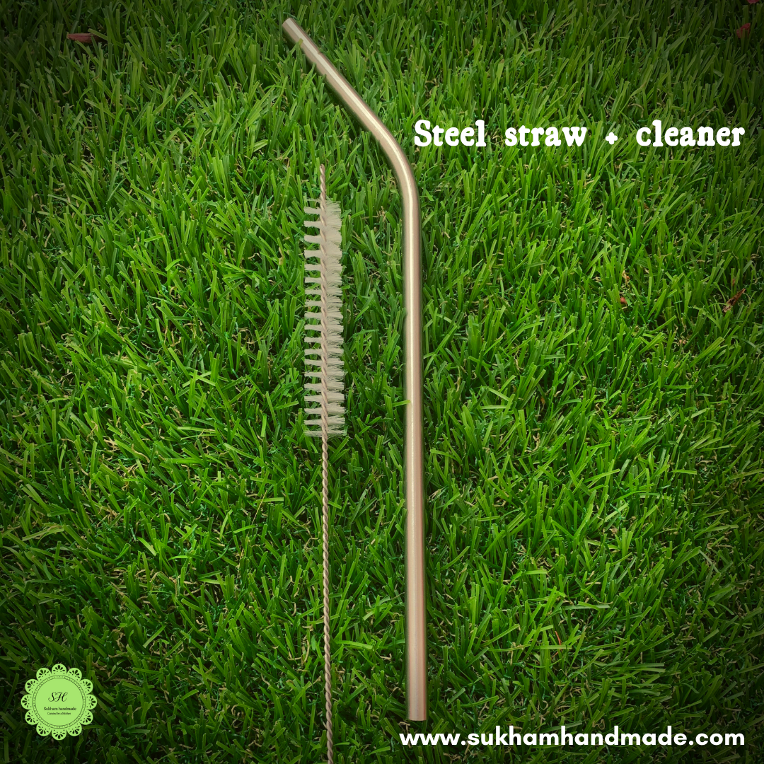 Steel straw + cleaner