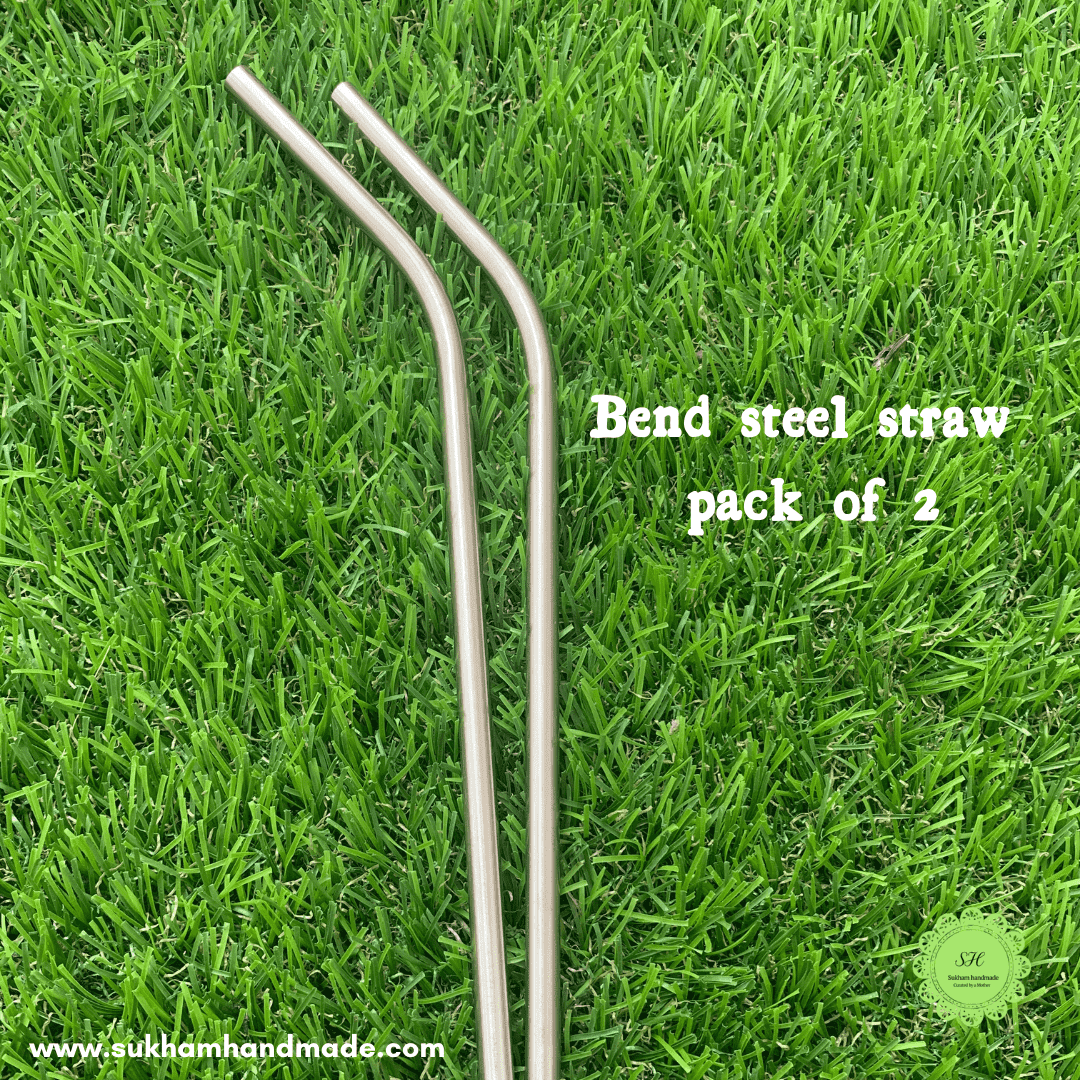 Steel straws- pack of 2