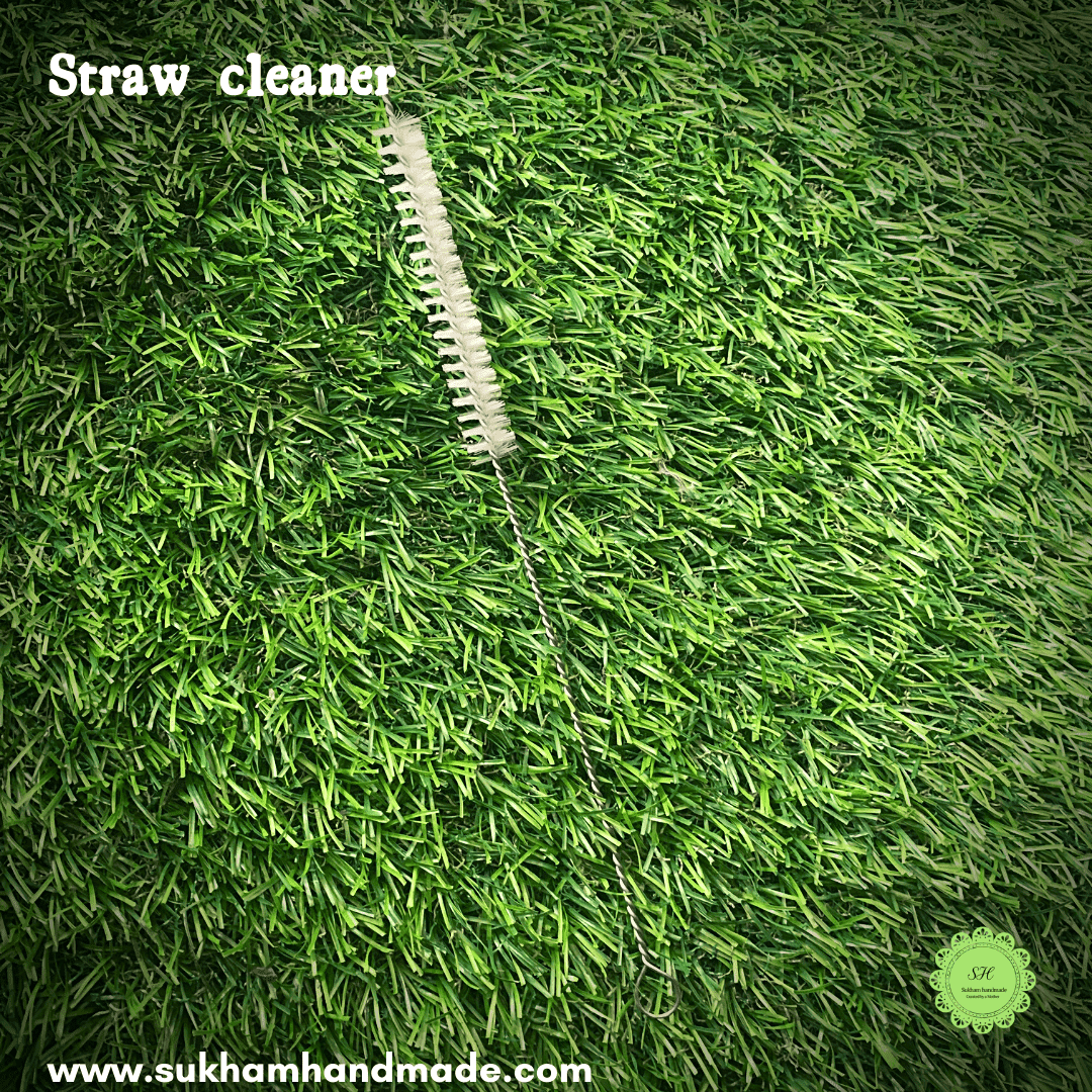 Reusable Straw cleaner